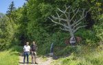 Fertigstellung des Guestbook-Themenweges in Thumersbach