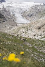 DAV gewinnt Deutschen Nachhaltigkeitspreis 2024