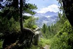 Faszination Bergsommer im Nationalpark Hohe Tauern