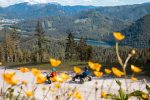 Mountain Escape: Neues Angebot auf der Gemeindealpe Mitterbach kommt